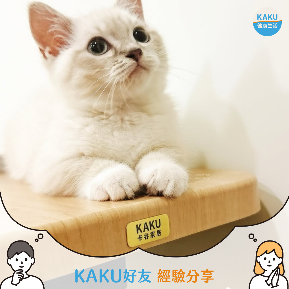 KAKU好友｜lumi_diarys｜一字桌